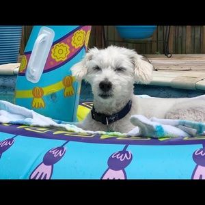 Meet your Posher, Nora